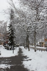 Nieve en Ljubjana