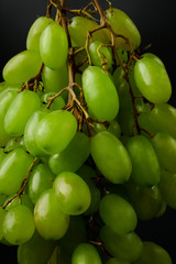 A bunch of table grapes on a black background