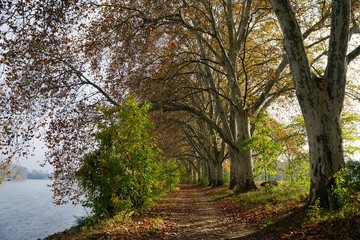 Herbstspaziergang © Guntram