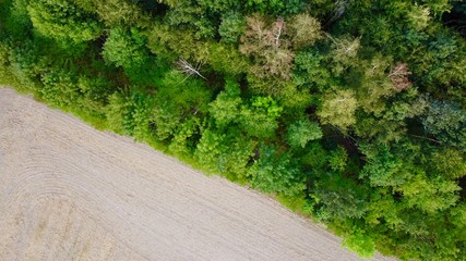 a green forest photographed with the drone.