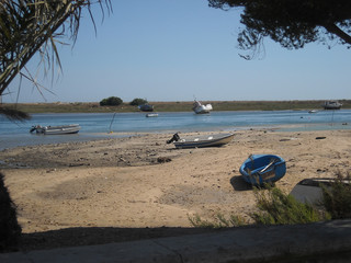 Boats in Estuary