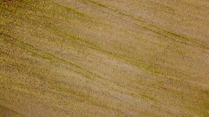 a threshed field photographed with the drone.