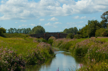Small Bridge over Flower River Banks
