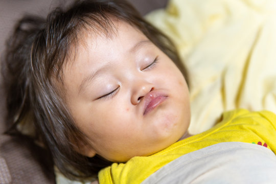 ブサイク の画像 521 件の Stock 写真 ベクターおよびビデオ Adobe Stock