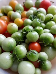 Red and green tomatoes on a plate