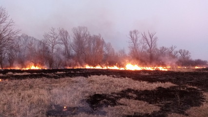 fire in the field