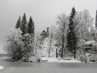 Snow-covered trees growing on snow-covered rocks by the lake