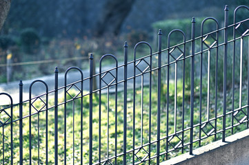 metal fence with green grass