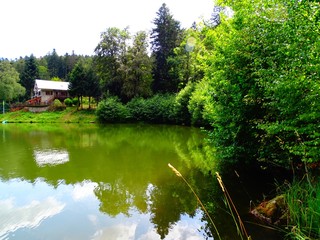 Obraz premium Europe, France, Great East region, Haut Rhin department, mountain lake