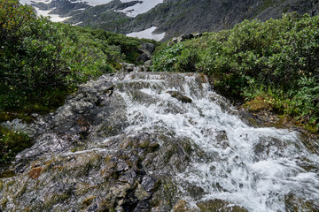 mountain river, a waterfall flowing down from a mountain peak between dwarf birch Betula nana bushes