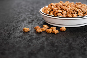 Dry pet food in a white ceramic bowl on black background with copy space