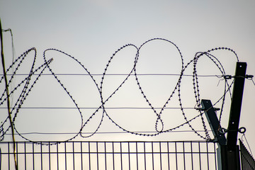 Barbed wire on a metal fence surrounding the territory.