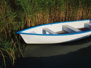 White wooden fishing boat moored at the reeds in the lake Balaton, Hungary in sunny summer