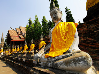 Robed Buddhas of Ayutthaya
