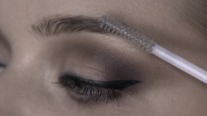 Macro shot of makeup artist making professional make-up for young woman in beauty studio. Make up Artist uses brush for eyebrows