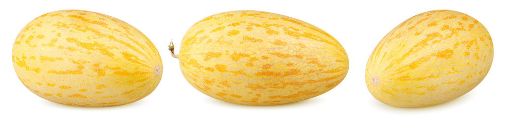Isolated melon. Collection of different whole melons isolated on white background clipping path