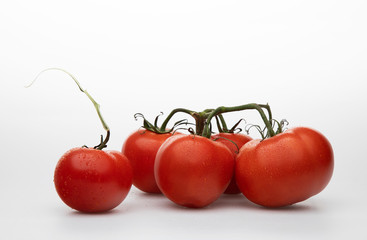 
Tomatoes with water drops on white background