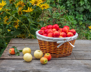Basket with red apples and several white apples on a wooden table in a garden