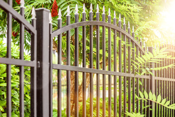 fence. black metal, iron fence