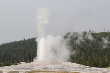 Old Faithful Geyser in Yellowstone National Park.