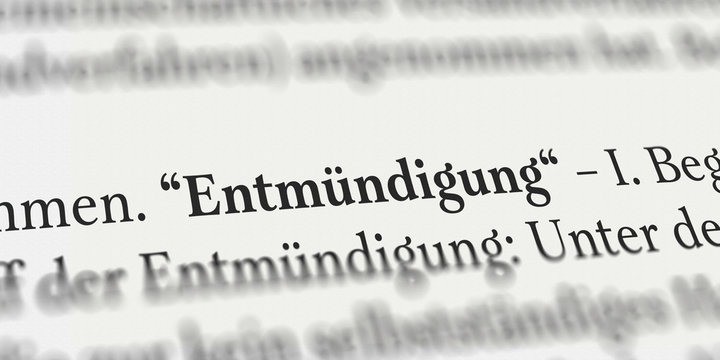 Entm&uuml;ndigung im Buch