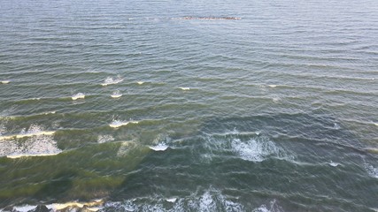Waves