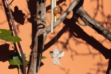 a caller of angels hanging from the rose bush in my garden