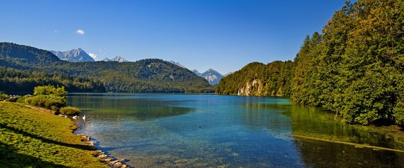 Fototapeta premium Großer Alpsee Hohenschwangau