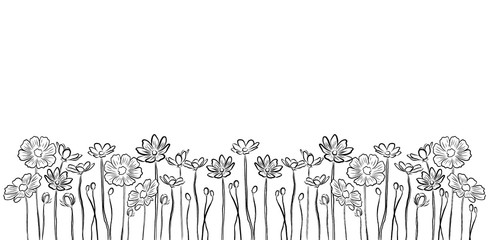 Line drawing,beautiful Cosmos flowers and leaves on white background.Modern natural background.Minimalist drawing print,creative with illustration in flat design.