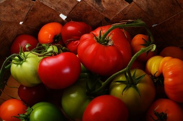 Fresh Organic Tomatoes in a wicker wooden basket