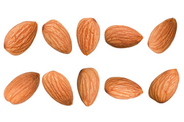 Closeup isolated collection of fresh almonds nut seed on white background.