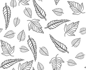  Autumn leaves pattern, seamless background. Vector illustration