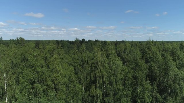 Narrow curved river surrounded by deciduous trees on the banks on a sunny spring day. Shot. Aerial view of a quiet village with small houses on blue cloudy sky background.
