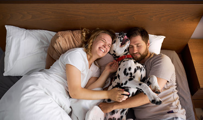 beautiful family spend weekends with dog in cozy home environment, lying on bed with cute dalmatian dog, a family member, love, family concept