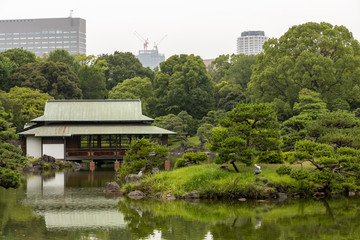 清澄庭園, 日本庭園