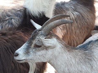 Piękna natura © Piotr