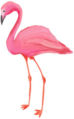 リアルタッチのアートなフラミンゴのイラスト