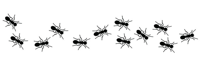Insect, worker ants marching in search of food sign. Ants crawling, walking in a group or line. Vector seamless pattern of ants. Funny silhouette pictogram. Follow emmet pismire insects banner.