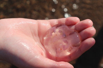 hand with jellyfish 
