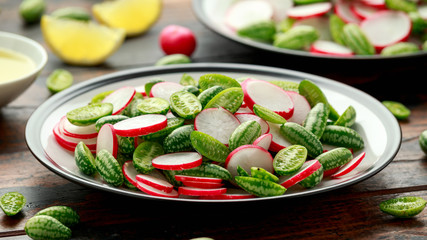 Cucamelon radish salad on rustic wooden table. healthy summer food