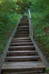 Wooden stairs in a park without people due to a coronavirus pandemic