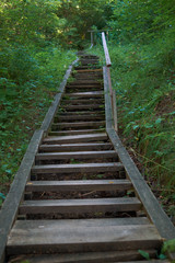 Obraz premium Wooden stairs in a park without people due to a coronavirus pandemic