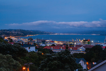 Wellington Skyline in New Zealand