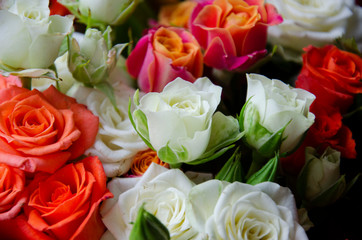 Bouquet of small colorful roses