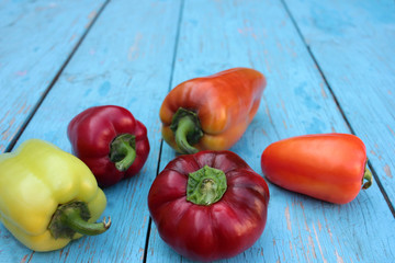 Red, yellow and orange bell peppers on light blue wooden background. Close-up.  Fresh summer or autumn vegetables harvest