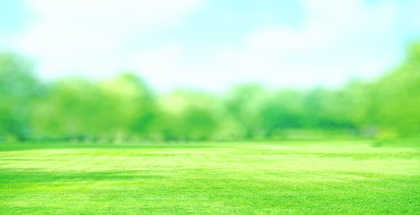 green field and blue sky