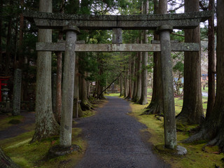 Torii gate in the forest. Ushioyama shrine in Hashikami-cho, Sannohe-gun, Aomori, Japan..