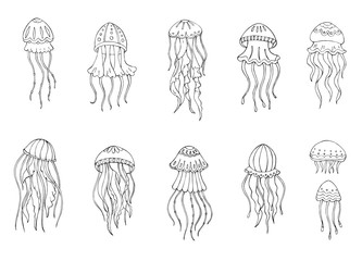 Vector Illustration sketch of jellyfish. Beautiful drawings with patterns and small details. Cartoon jellyfish set.