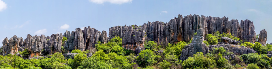 Fototapeta premium Panoramic view of Naigu Shilin limestone pinnacles Stone forest, Yunnan Province - China. The Stone Forest or Shilin is a UNESCO World Heritage Sites near Kunming