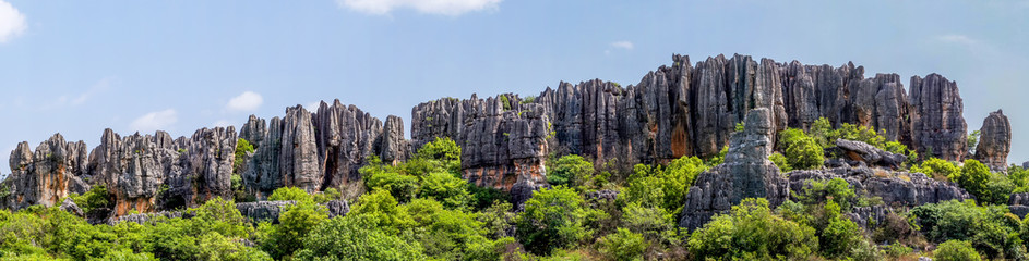Panoramic view of Naigu Shilin limestone pinnacles Stone forest, Yunnan Province - China. The Stone Forest or Shilin is a UNESCO World Heritage Sites near Kunming